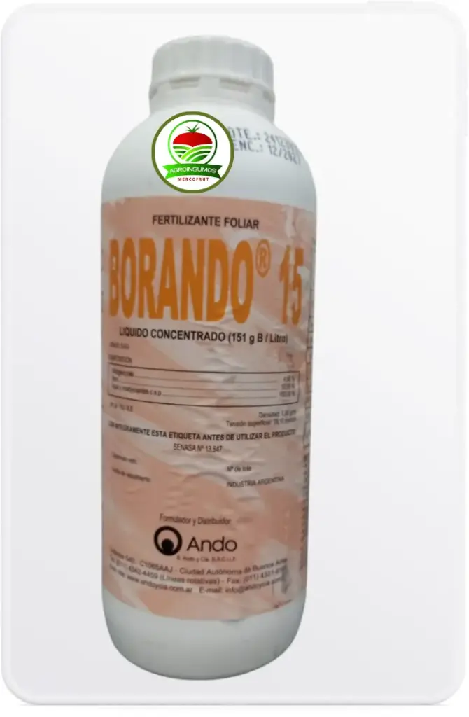 BORANDO 15 - ANDO