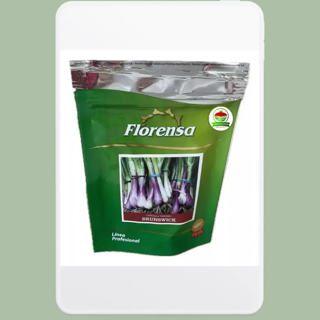 CEBOL DE VERD BRUNSWICK X 454 GRS